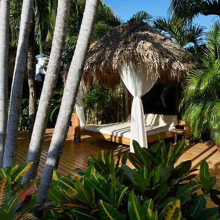 Jardin Del Eden Boutique Hotel (Adults Only)-3